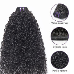Hair Kinky Curly Bundles With Closure 3 Bundles Virgin Human Hair